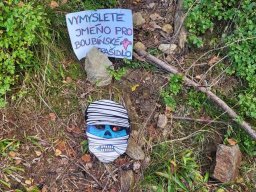 vlcata a stezka odvahy25